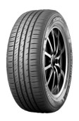 EcoWing ES31